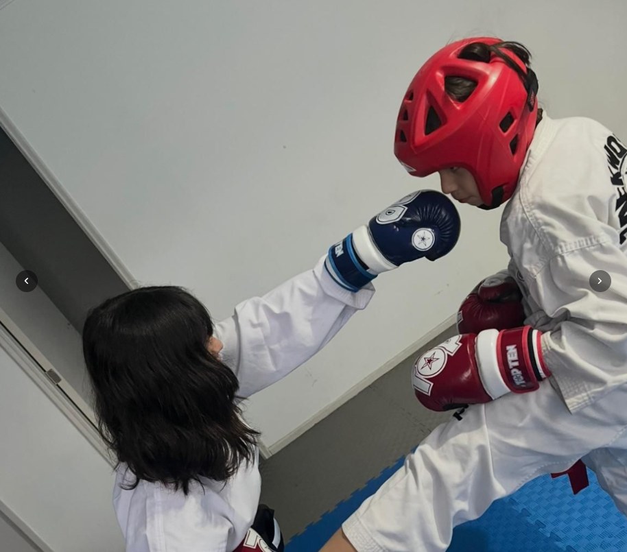 Instructores